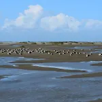 Villa Aurora Borkum