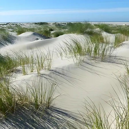 Βίλα Aurora Borkum
